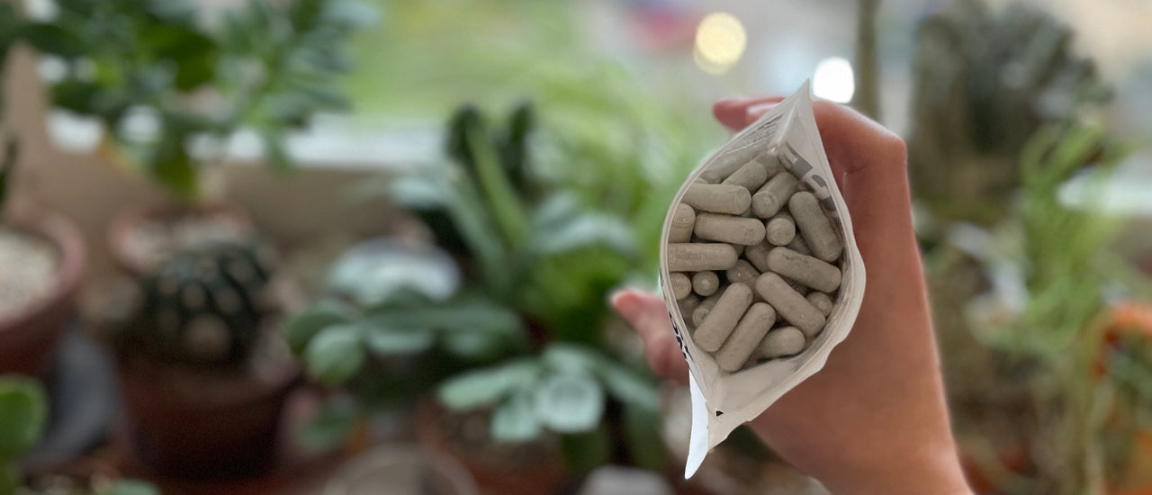 Multivitamins – Why should we take them?