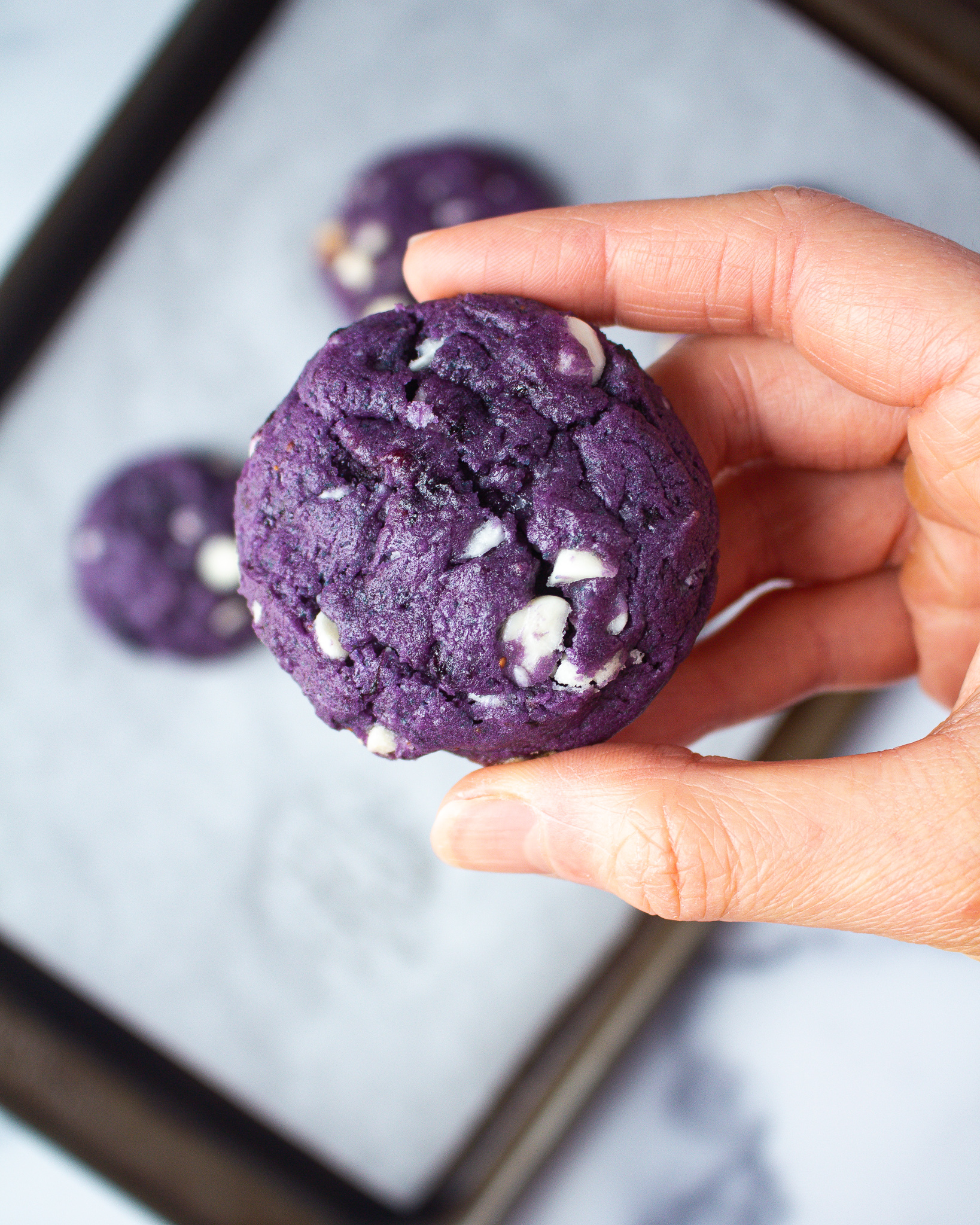 Blueberry Cookie Recipe