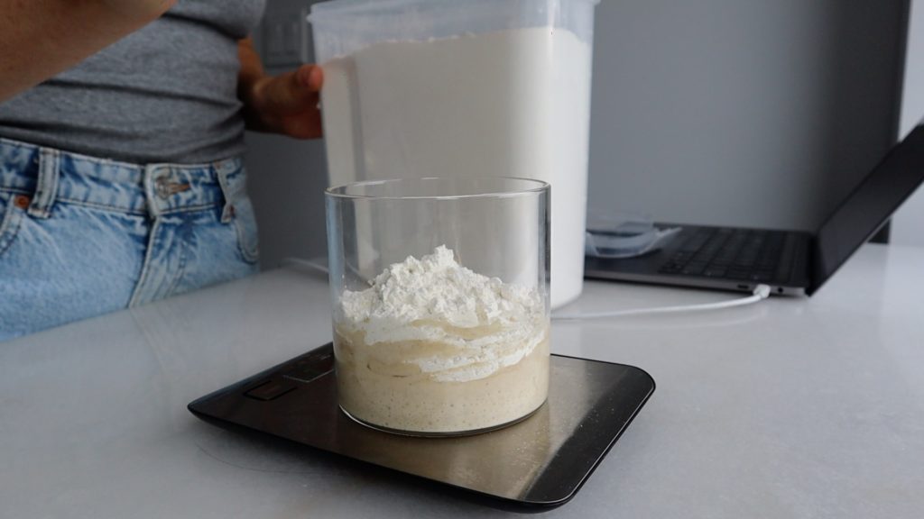sourdough starter