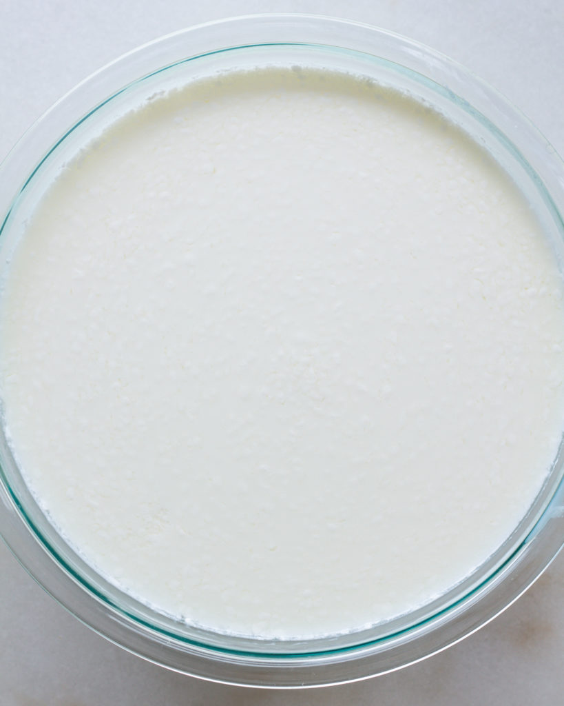 Curdled whole milk in bowl