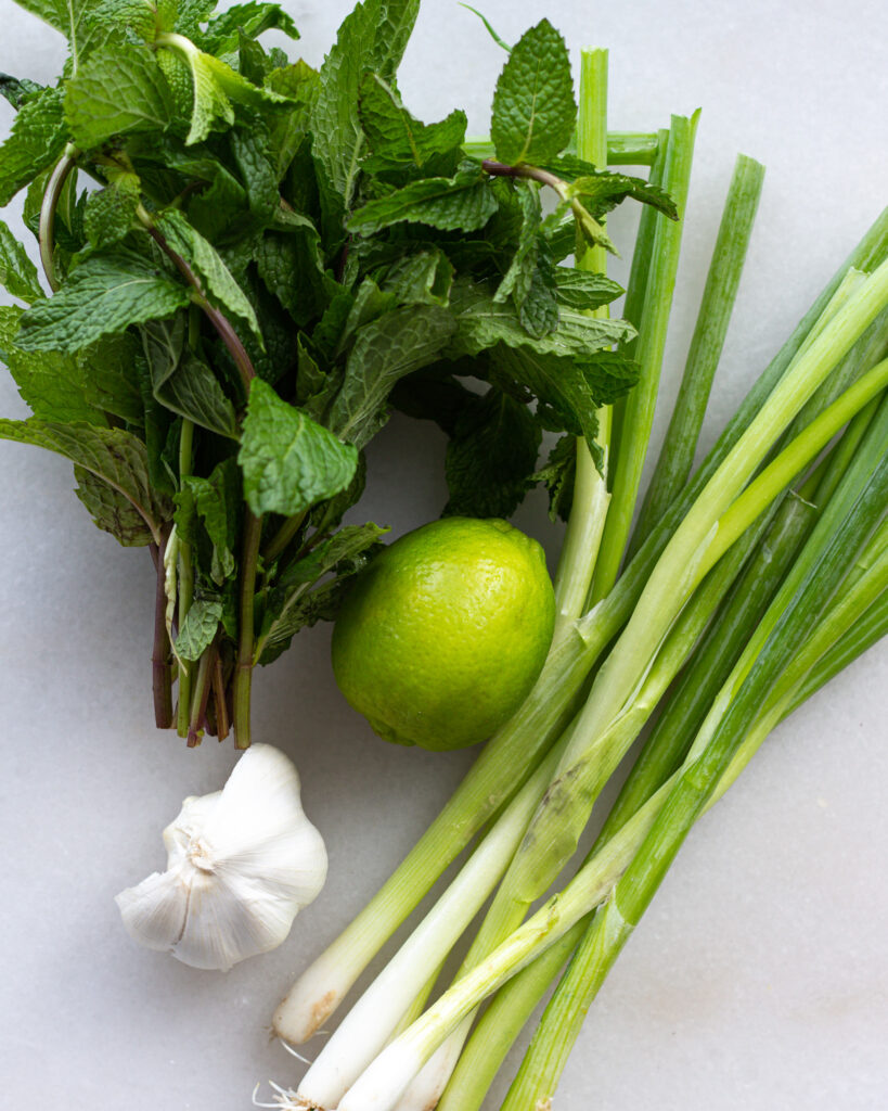Fresh mint, lime, green onions, and garlic