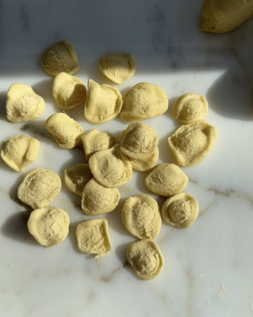 homemade orecchiette on the counter.
