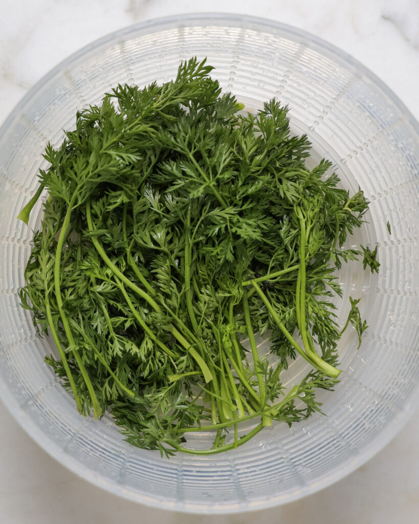 carrot tops in a salad spinner.