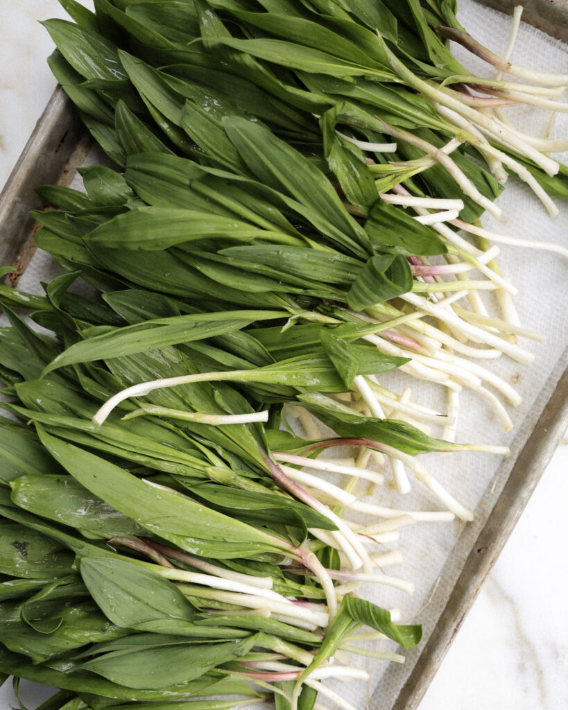 ramps that have been cleaned and trimmed.