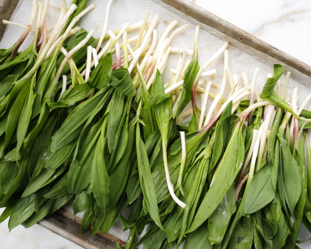 cleaned and prepped ramps on a sheet pan 